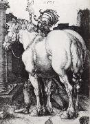 The Large Horse Albrecht Durer